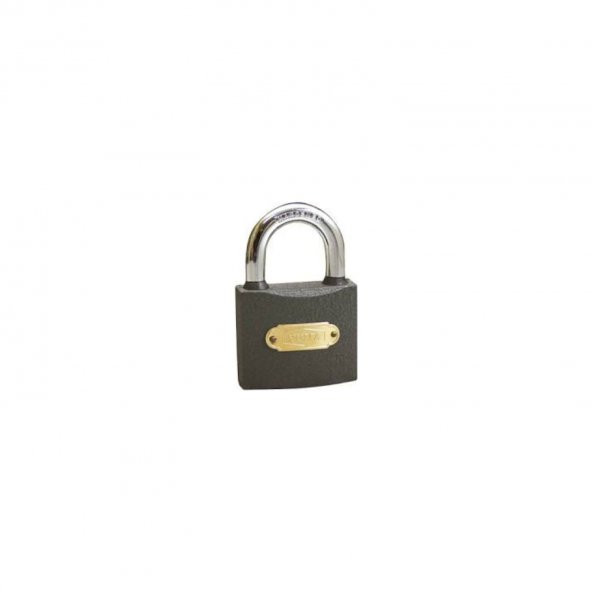 ASMA KİLİT GRİ 50 mm