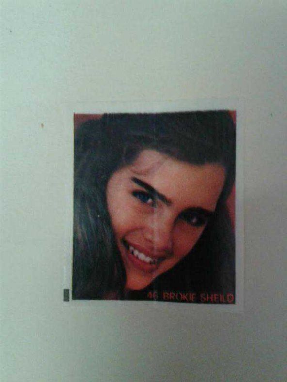 BROKIE SHEILD CİKLETTEN ÇIKMA ARTİS FOTOĞRAFI