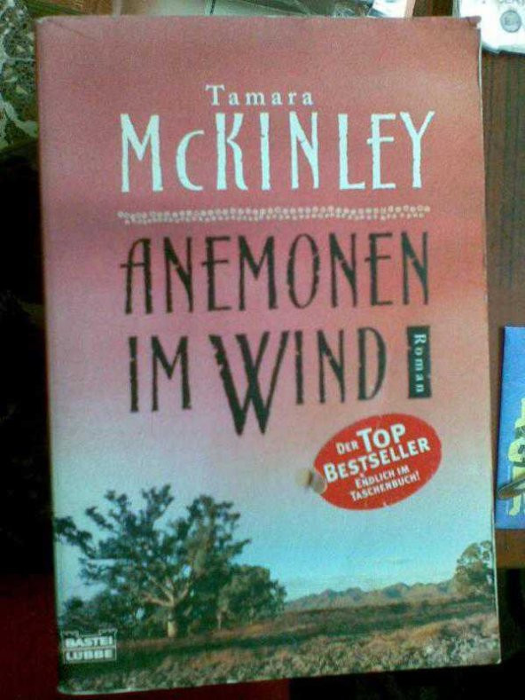 TAMARA MCKINLEY ANEMONEN İM WİND
