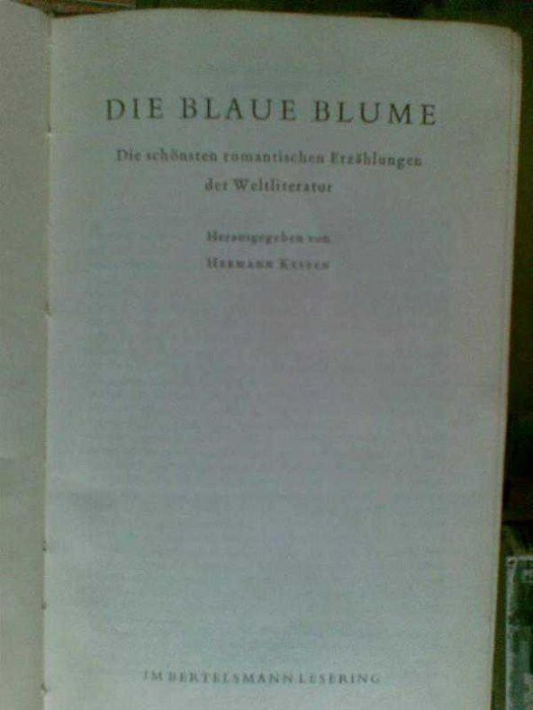 DIE BLAUE BLUME HERMANN KESTEN