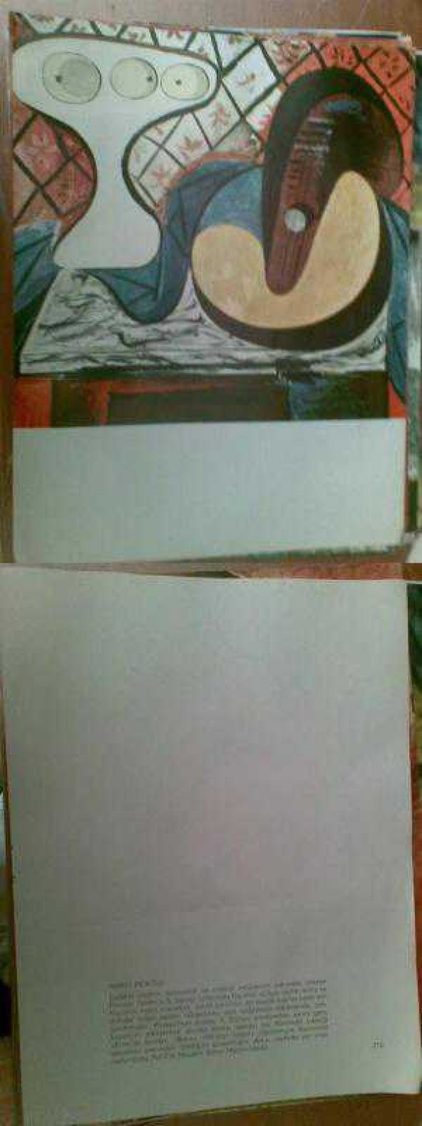 RESİM / PABLO PICASSO 23-30 - 1