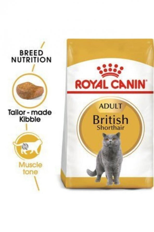 Royal Canin Royal Canin British Shorthair Adult Kedi Kuru Maması 2 Kg - 2
