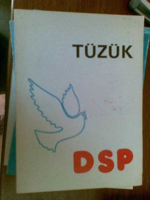 DEMOKRATİK SOL PARTİ TÜZÜK 1986