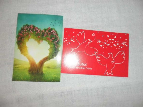 PTT SEGİLİLER GÜNÜ 2 ADET   * KARTPOSTAL