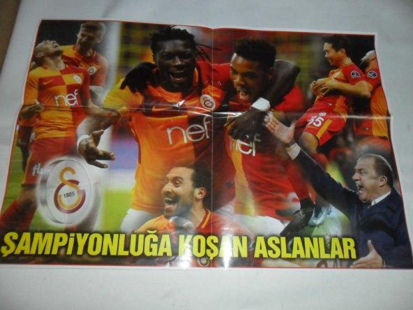 Galatasaray posteri - 2017- 2018 lig şampiyonu 25X35 cm - Resim 2