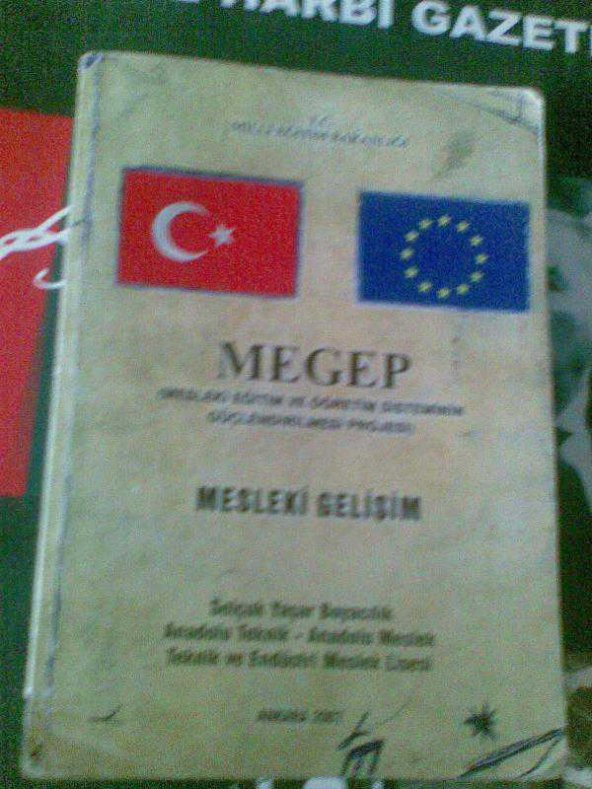 MEGEP MESLEKİ GELİŞİM - BOYACILIK 2007