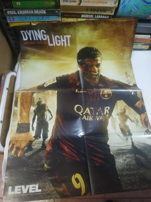 LEVEL POSTER / DYING LIGHT (arkalı önlü)