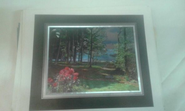 SİYAH VE GÜMÜŞ YALDIZLI MANZARA RESMİ 30X24