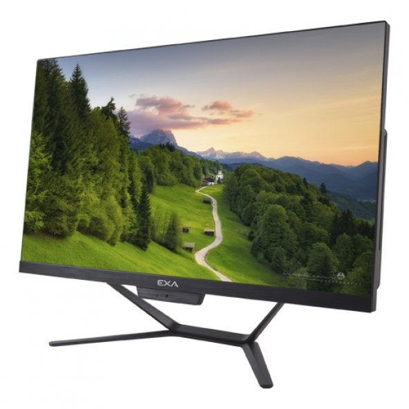 EXA AIO H24S C31 i3-10100 8GB 256GB 23.8DOS Siyah - 2