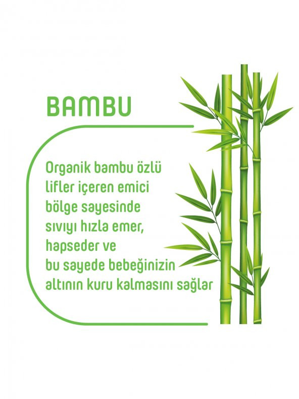 Pure Baby Organik Bambu Özlü Külot Bez Pure Baby 2li Paket 5 Numara Junior 80 Adet - 4