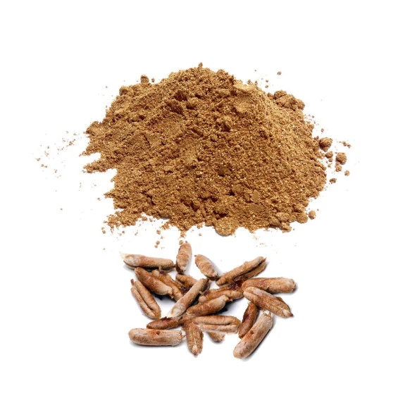 Organik Bitkim Hurma Çekirdeği Tozu (Öğütülmüş) 1000 gr - Resim 3