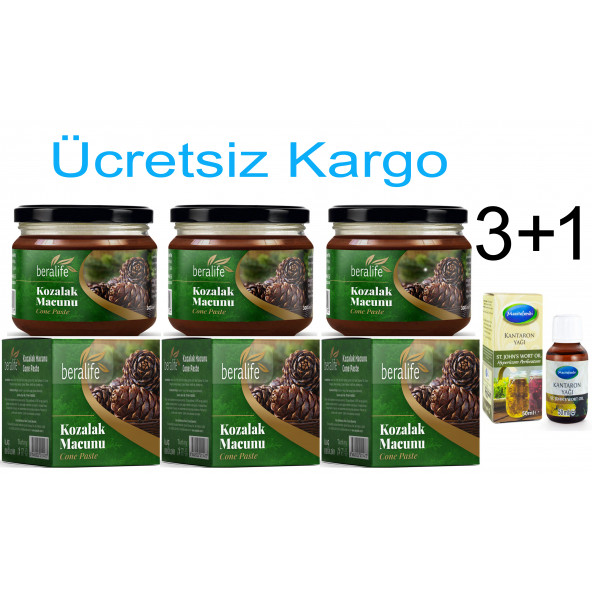 Beralife Kozalak Macunu 300gr 3 Adet + '' Kantaron Yağı Hediyeli