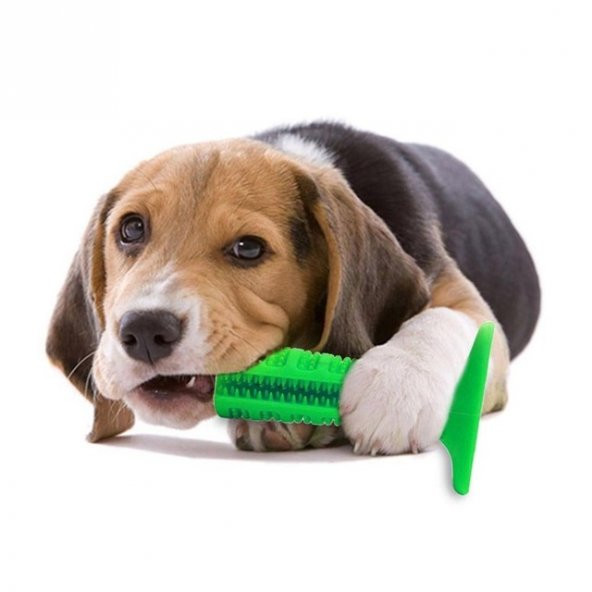 Köpek Diş Temizleyici Oyuncak - Isırma Aparatı Çubuk 15 Cm HİLAYS