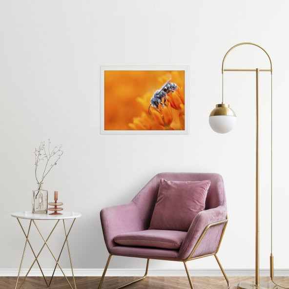 Kitap Şeyleri Beyaz Ikea Çerçeveli Arı Tablo - 1