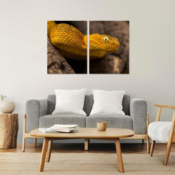 Kitap Şeyleri 2 Parça Makro Çekim Dikenli Çalı Engereği Mdf Tablo 30x40 - 1