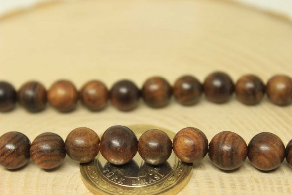 Kör Diken Ağacı Dizi 8mm - Resim 2