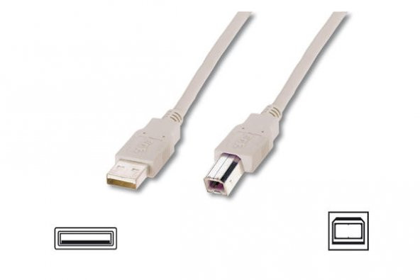 Digitus AK-300102-030-E 3 Mt USB 2.0  to USB 2.0 Tip B Erkek-Erkek AWG28 USB 2.0 Bej Yazıcı Kablosu