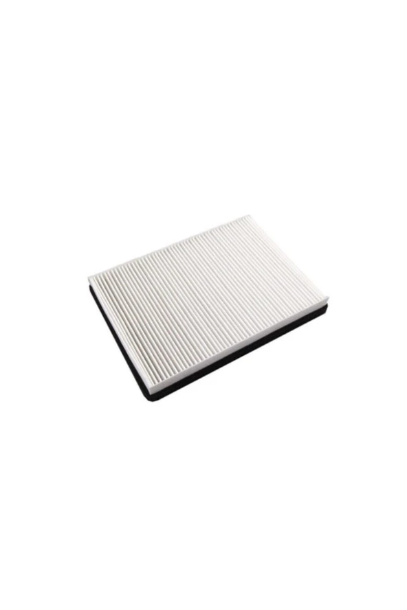 1987435505 Polen Fıltresı Karbonlu X156 13 W176 1218 W246 1118 C117 1319