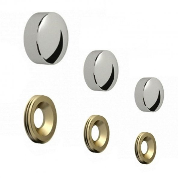 Dekoratif Vida Kapağı Kapatıcı 20 mm Parlak Krom Vida Tapası Tıpası (100 ADET)