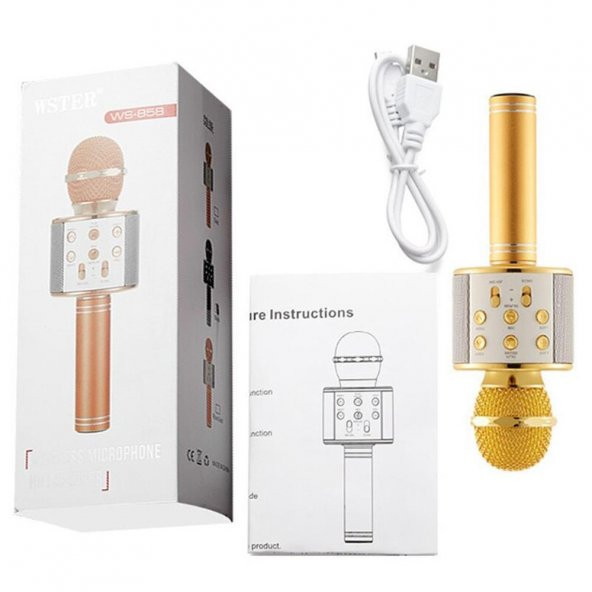Karaoke Mikrofon Bluetooth Hoparlör Usb Sd Kart ve Aux Girişli - Gold - 9