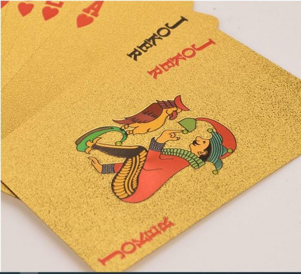 Euro İskambil Kağıdı Poker Oyun Kartları Su Geçirmez Plastik Altın Folyo Havuz oyun kartı - 4