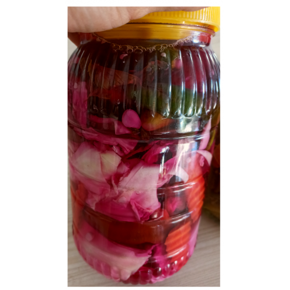 Turşu ev yapımı (3 kg lık pet) - 3