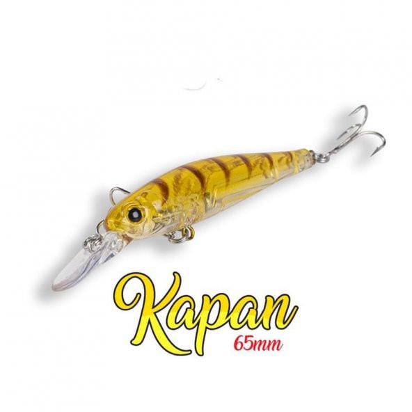 HanFish Kapan 65 mm 5,5gr LRF Maket Balık