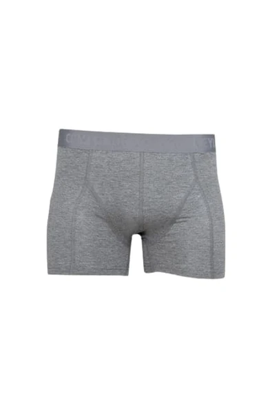 Ceylanoğlu Erkek Likralı Boxer 034 (3 Paket) - 6