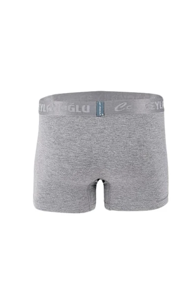 Ceylanoğlu Erkek Likralı Boxer 034 (3 Paket) - 10