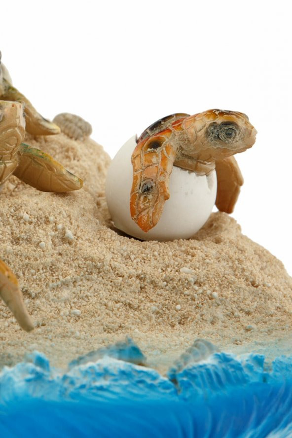 Vitale Pretty Kumda Carette Caretta Kaplumbağalar Biblo Süs Karetta - 2