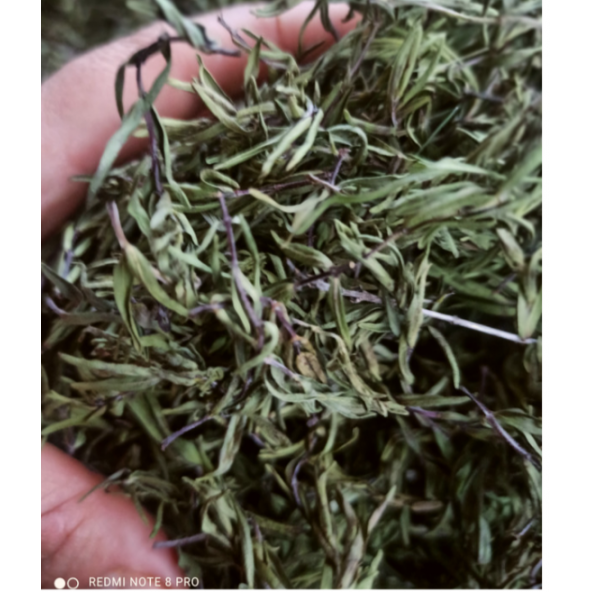 Dağ kekiği zahter (50 gr) - 2