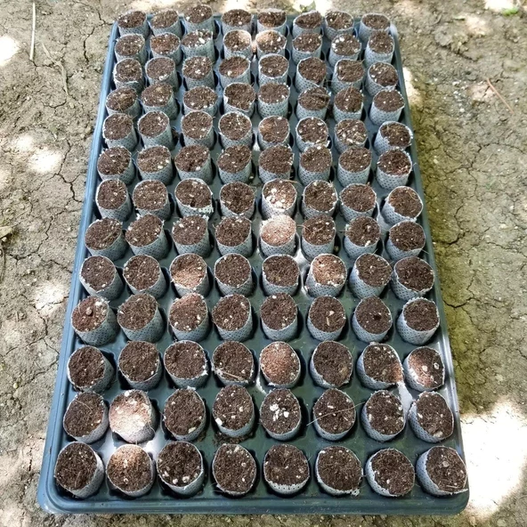 832 Adet Paper Pot( 8 Viyol )Hızlı Çimlenme Sağlayan Tohum ve Çelik Köklendirme - 2