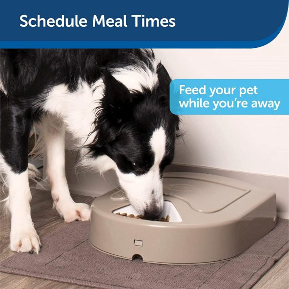 Petsafe Eatwell 5 Otomatik Kedi, Köpek Mama Kabı - 5