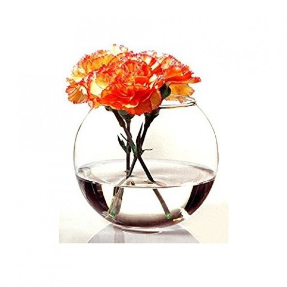 Paşabahçe 45068 Fanus Orta Boy Cam