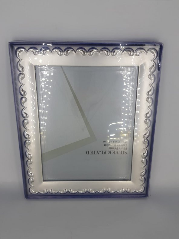 Sağlam ÇER LY810A Çerçeve Gümüş 20*25 - 2