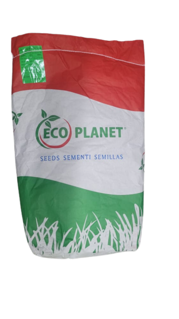 Çim Tohumu 10 Kg Eco Planet 6 Lı Karışım