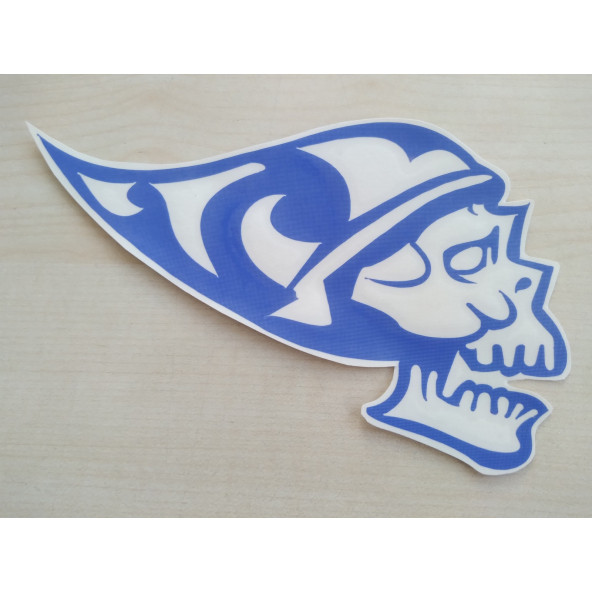 KURUKAFA sticker (2Lİ TAKIM) MAVİ 16cmx10cm (İSKELET) KURUKAFA ETİKETİ ÇIKARTMASI logosu arması - Resim 2