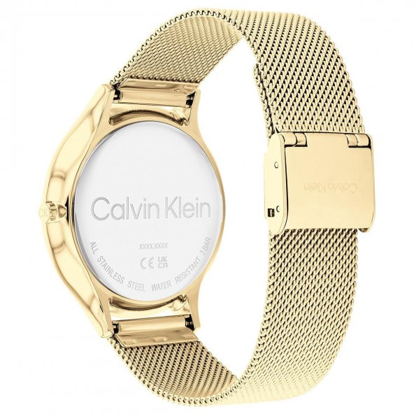 25200003 Calvin Klein Bayan Kol Saati - 3