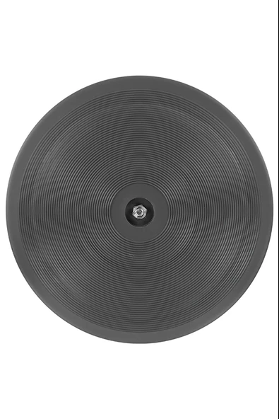 Manyetikli Disc Twister Kalça ve Bel İnceltici Dönen Disk Evde Spor Aleti - 2