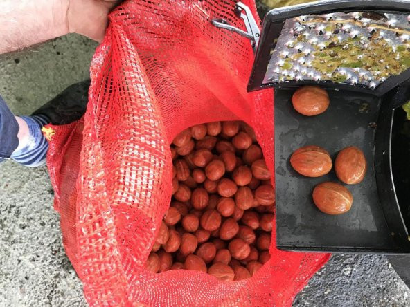 Kadıoğlu Pratiko CKS80 Rendeli Ceviz Soyma Makinesi 90 Litre - 2
