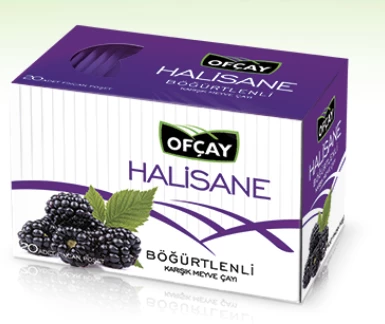 Ofçay Halisane Böğürtlen Çayı
