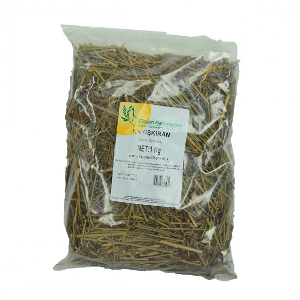 Kayışkıran Otu Doğal 1000 Gr Paket - 2