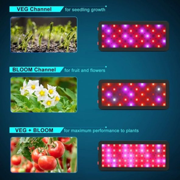 Phlizon 600W Samsung LED Full Spektrum Bitki Işığı - 4