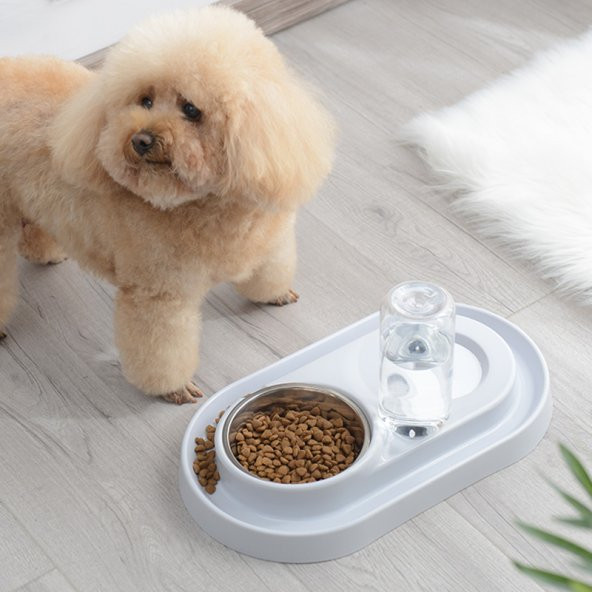 Mikopet Kedi Köpek Mama Su Kabı -Gri - 3