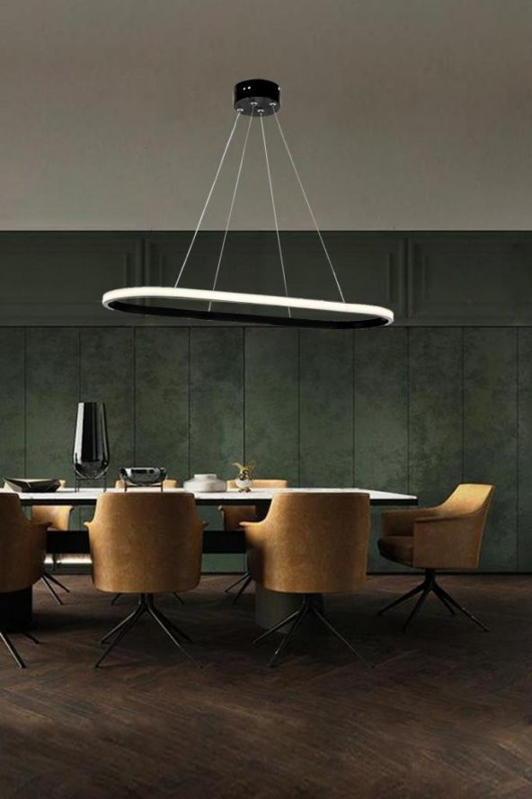 Eray Aydınlatma 2005-1 Siyah Tekli Elips Led  Avize - Resim 2