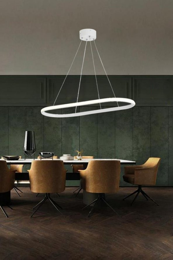 Eray Aydınlatma 2005-1 Beyaz Tekli Elips Led  Avize - Resim 2