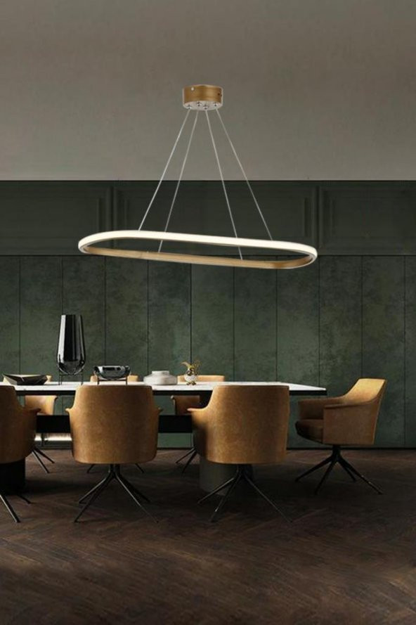 Eray Aydınlatma 2005-1 Eskitme Tekli Elips Led  Avize - Resim 2