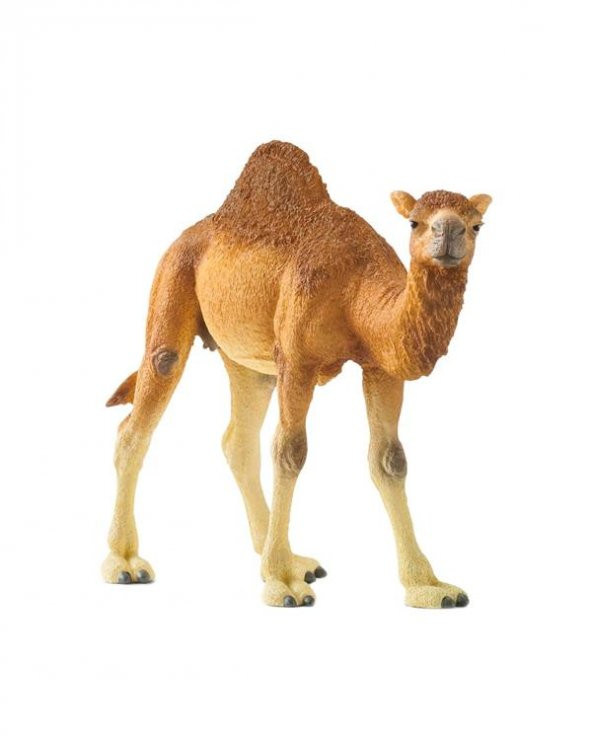 Schleich Hörgüçlü Deve Figürü