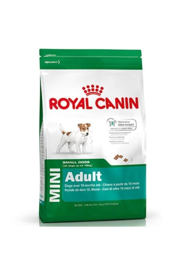 Royal Canin Mini Adult Yetişkin Köpek Maması - 8 kg