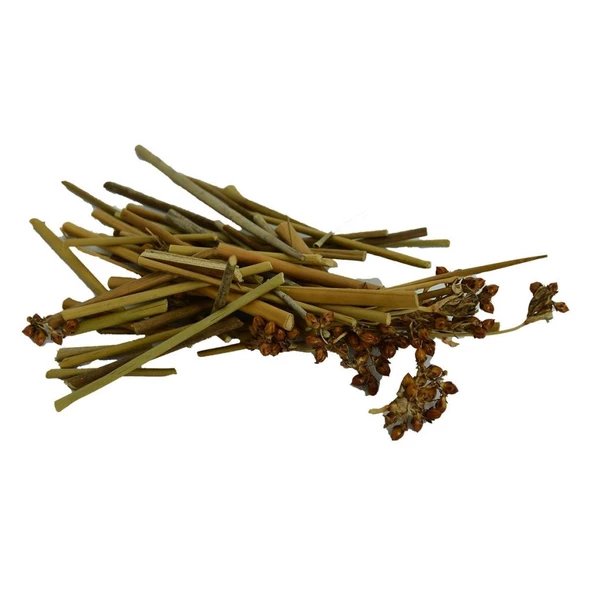 Doğal Kayışkıran Otu Saf Kayış Kıran Bitkisi 100GR Paket ürün görseli 1